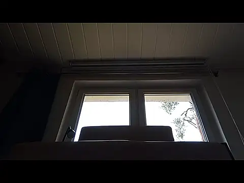 Rainfish online show from May 24, 11:15 am