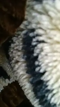 Bigcockmexi13 online show from June 30, 8:21 pm