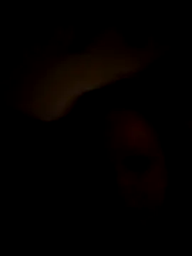 Cumslutsnowbunnie69 online show from December 22, 7:16 am