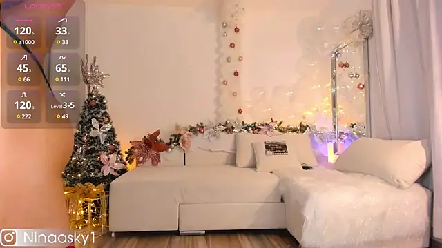 Snapshot of ninaa_sky chatting on December 30, 6:20 am ninaa sky online show from December 30, 6:20 am