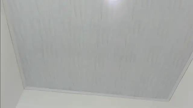 merlyna goldens online show from November 22, 11:31 am