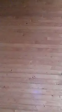 aliosa23 online show from January 21, 11:35 am