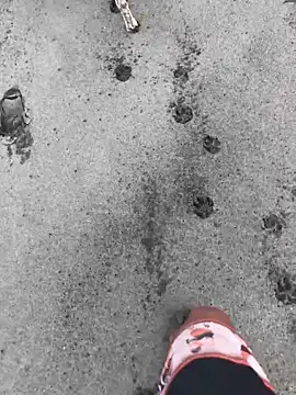 kvr27 online show from February 24, 1:20 pm