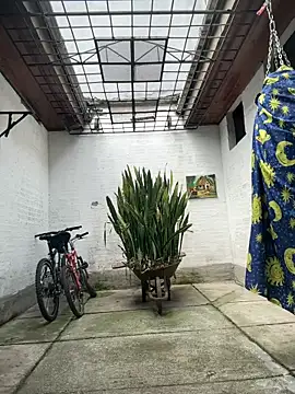 oliver price1 online show from April 6, 2:40 pm